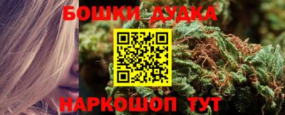 дживик Кимры