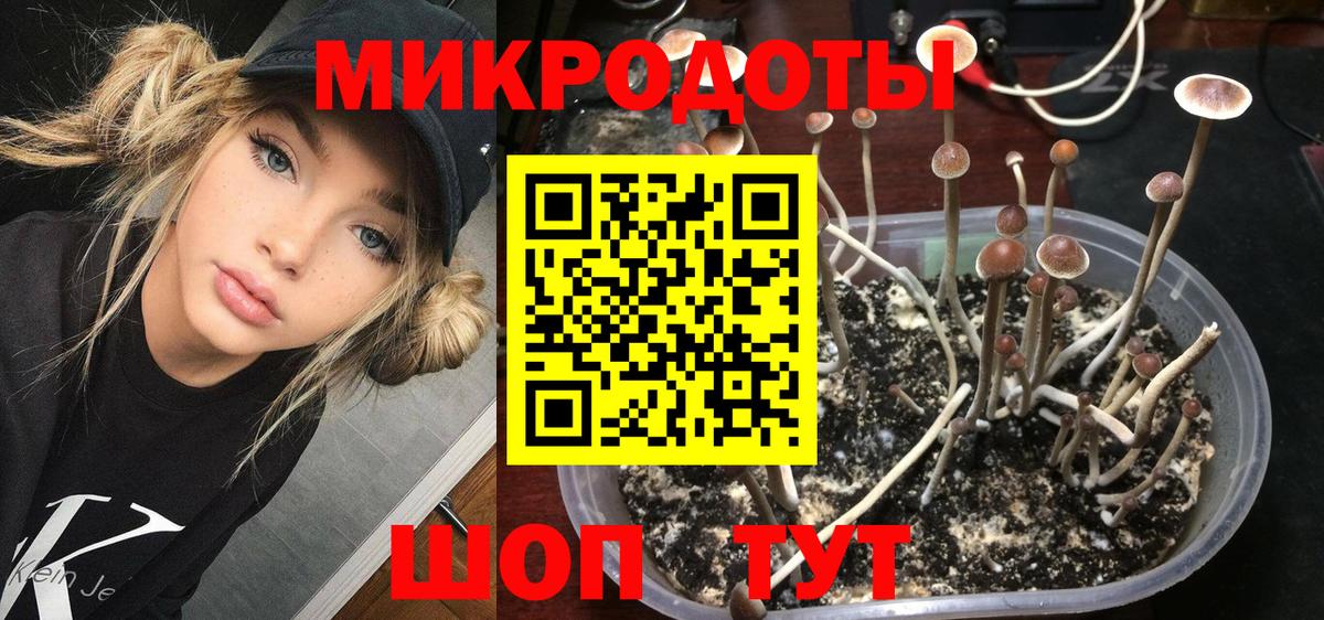 Красный Сулин  цены наркотик  Вход с VPN  Псилоцибиновые грибы Psilocybine cubensis 