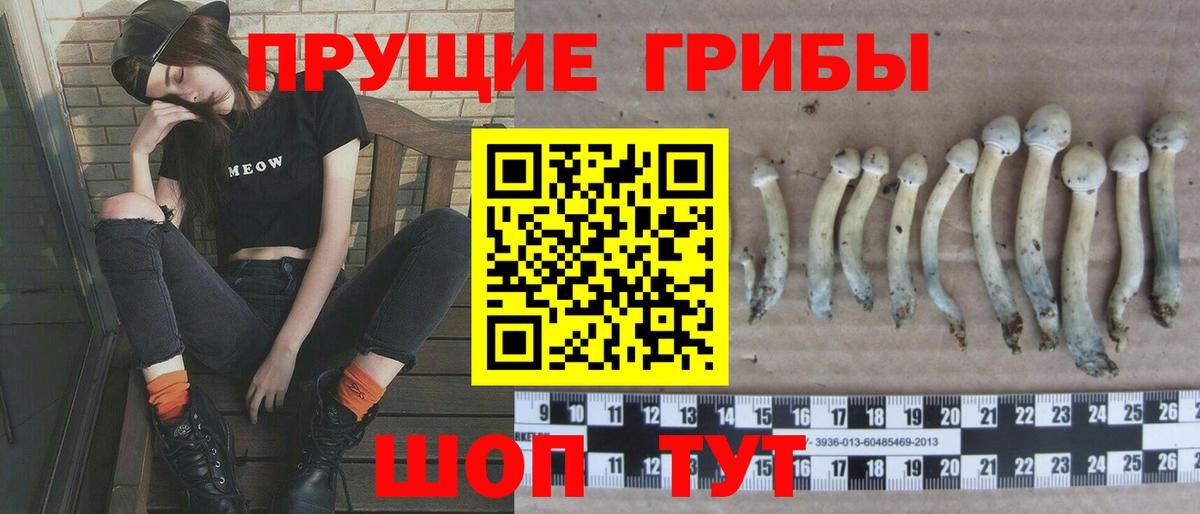 Псилоцибиновые грибы прущие грибы Красный Сулин
